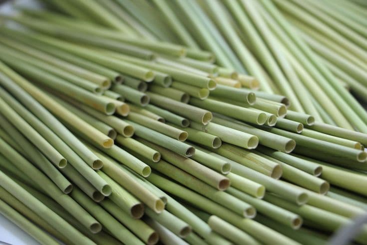 Bamboo Straws