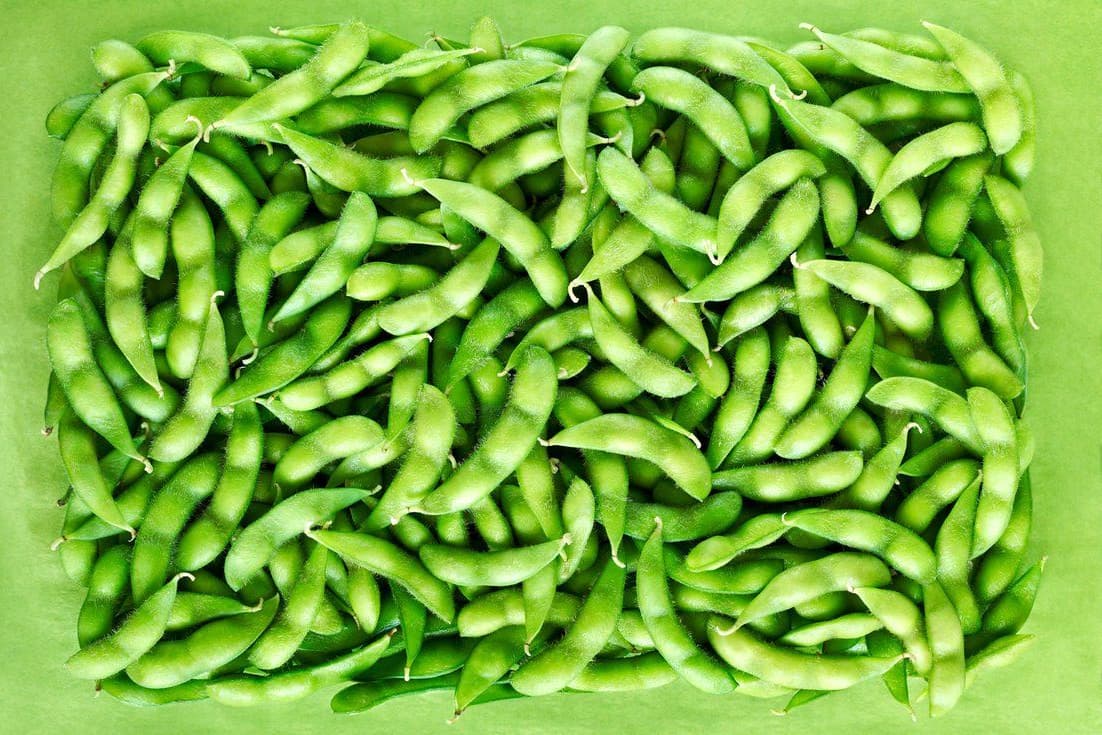 Edamame
