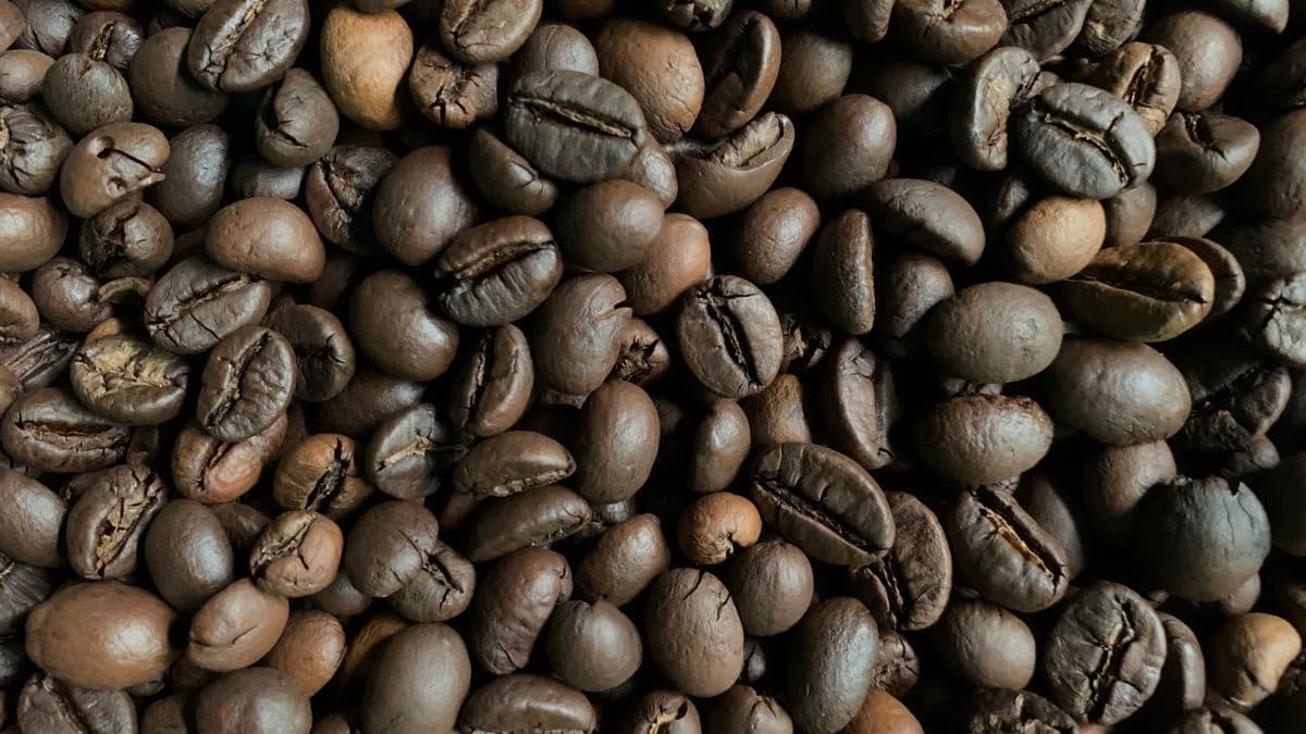 Robusta Roasted Coffee